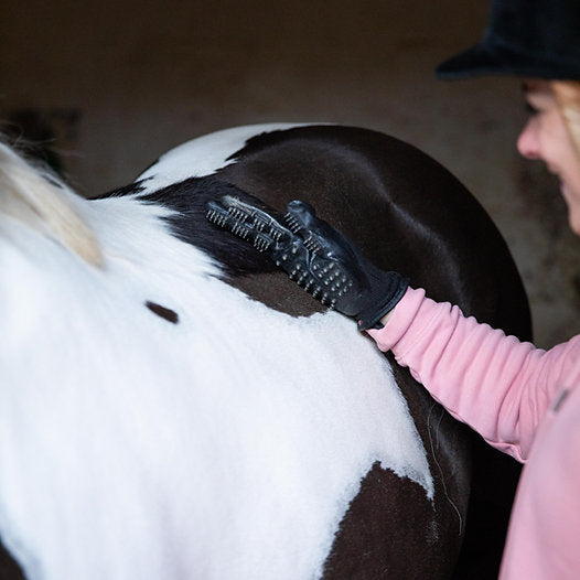 EquiCaress : Gants de shampouinage pour faire mousser son cheval à la douche