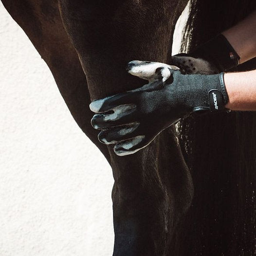 EquiCaress : Gants de shampouinage pour faire mousser son cheval à la douche