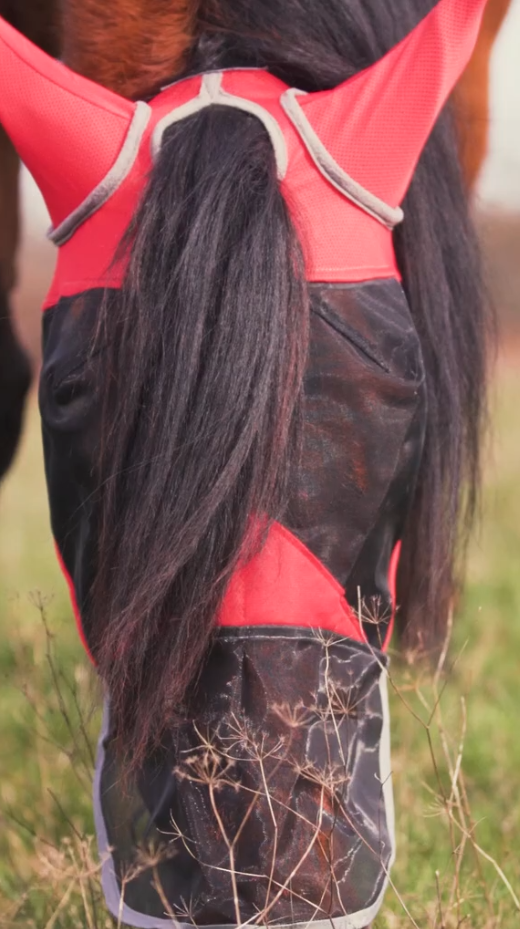 Masque anti-mouche pour cheval d'équitation protection anti-brûlure de soleil