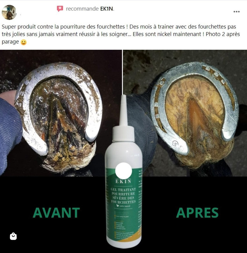 Ekin Gel traitant efficace des fourchettes pour les chevaux d'équitation