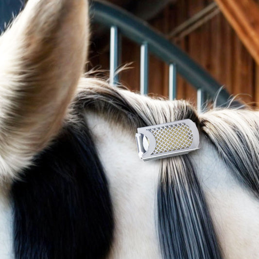 1er bijou Français clips anti-insectes pour cheval