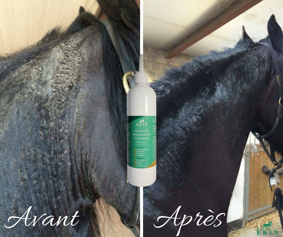 EKIN Baume Anti-Démangeaisons et Dermites pour cheval d'équitation