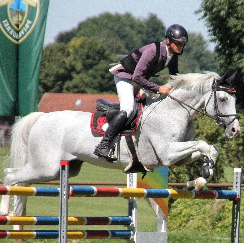 Correcteur de posture dorsale pour l'équitation (Anti maux de dos à cheval)