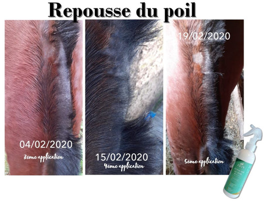 Ekin Spray repousse poil pour cheval d'équitation